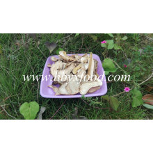 2016 Bueno Secado Boletus Edulis Price, Porcini Mushrooms for Sale